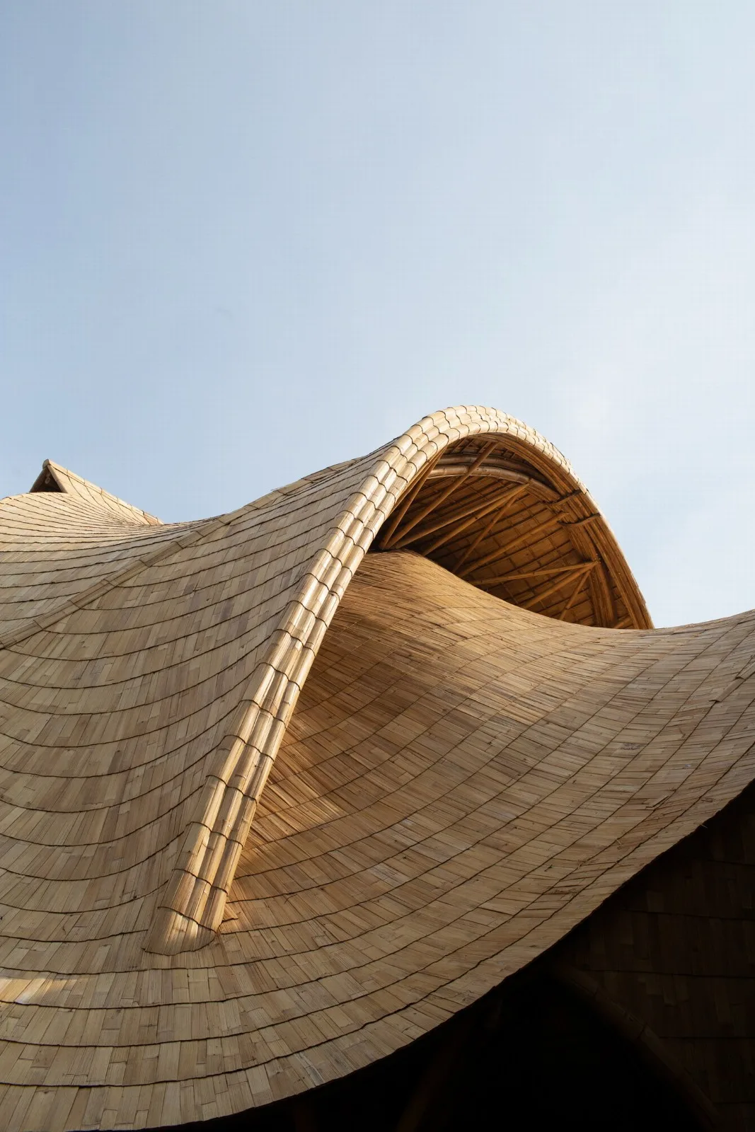 BIM Architecture | Minimum Structure Maximum Space, Bamboo Installation "Arc"/IBUKU