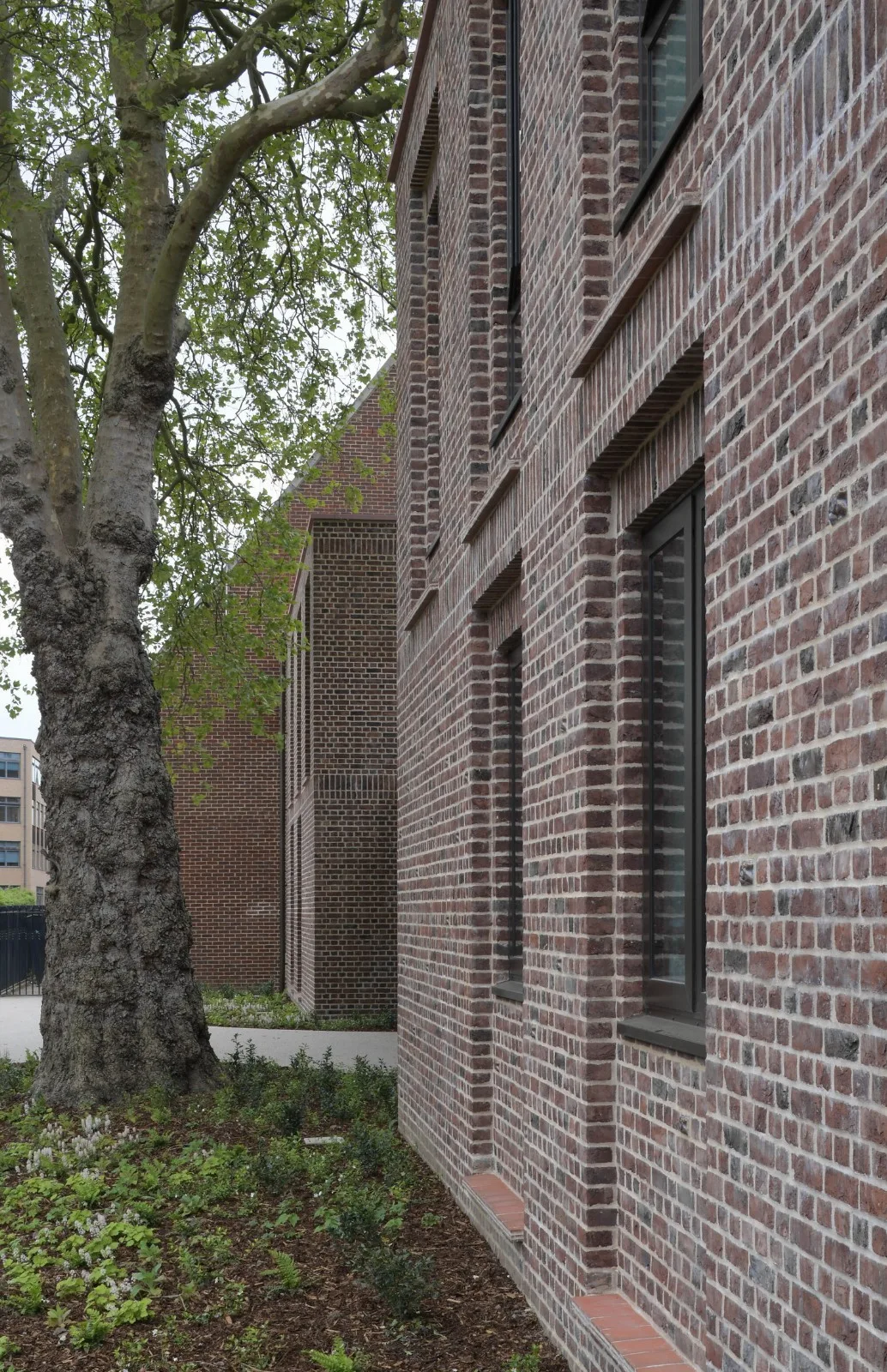 BIM Architecture | Retro Green Glaze, Cambridge University Canteen/Feilden Fowler