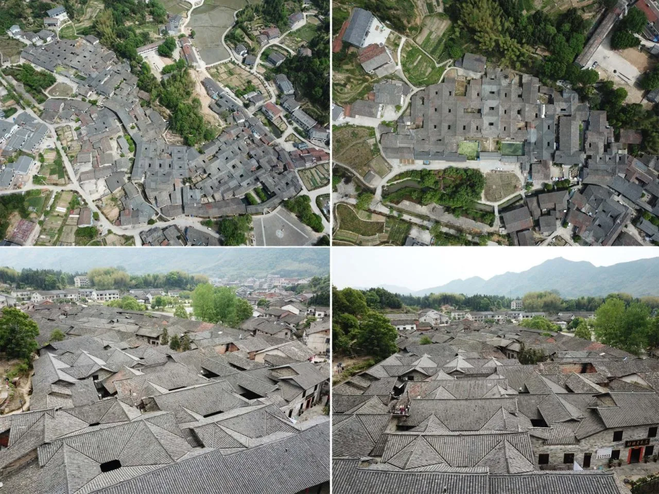 BIM Architecture | Miluo "Dragon Boat Festival Family" Rural Settlement/Artificial Architecture Studio