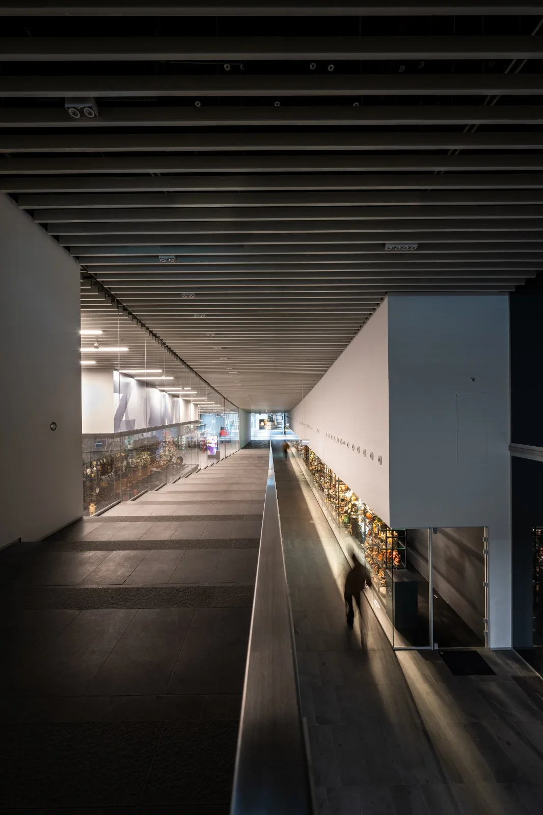 BIM Architecture | Budapest Museum of Ethnology/NAPUR Architect