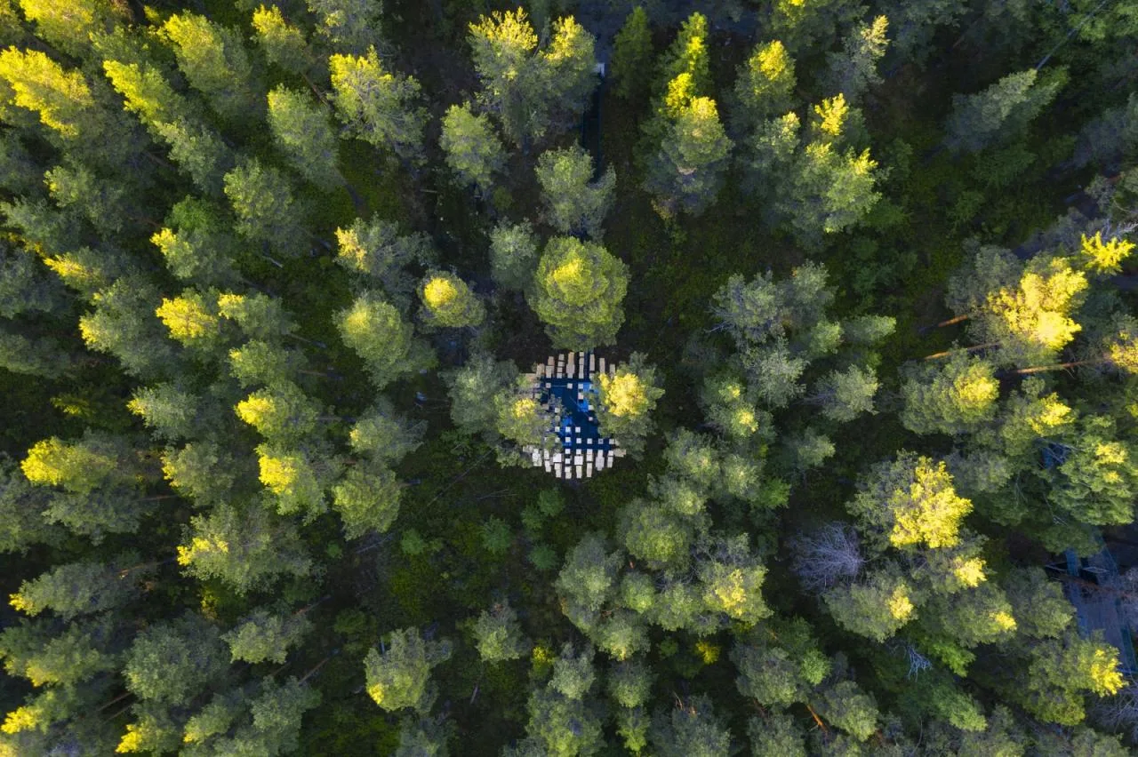 BIM Architecture | Tree Top Hotel 'Biosphere'/BIG