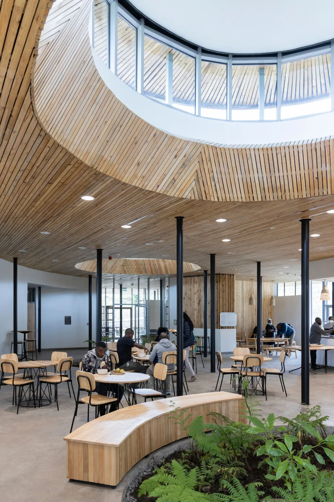 BIM Architecture | Fuxi Gorilla Fund Allen DeGeneres Campus/MASS Design Group
