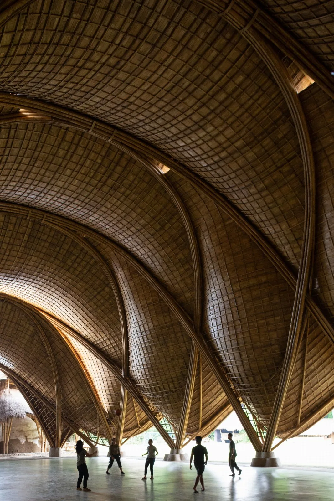 BIM Architecture | Minimum Structure Maximum Space, Bamboo Installation "Arc"/IBUKU