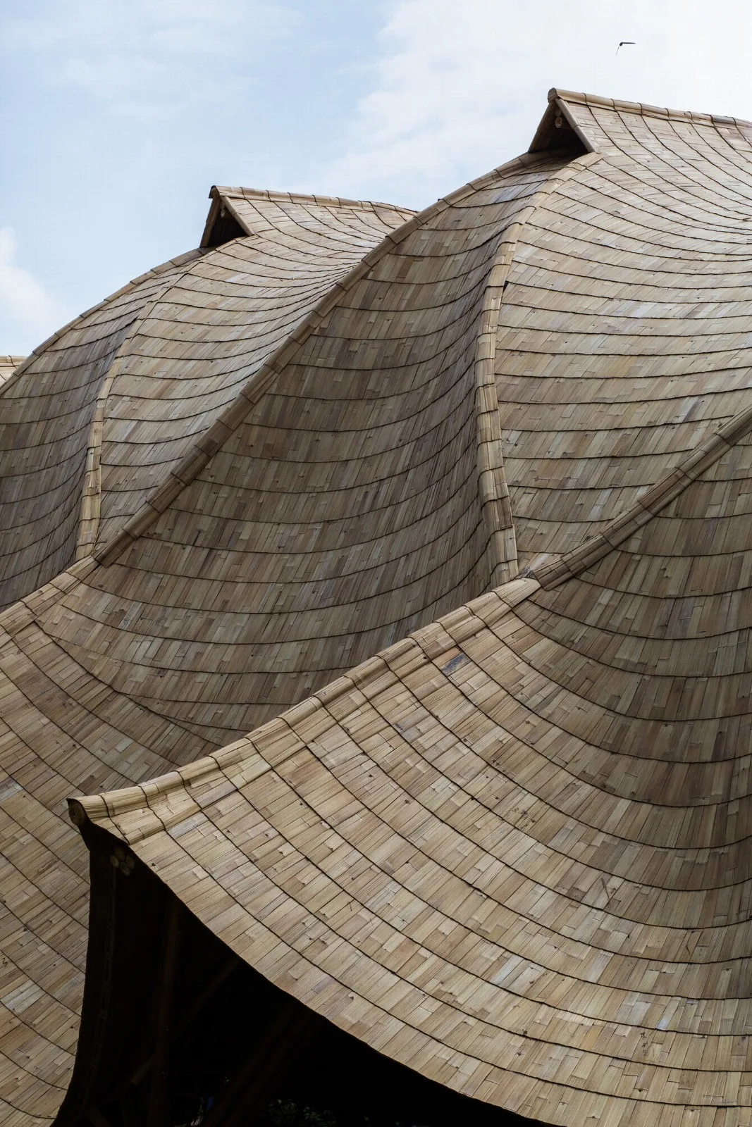 BIM Architecture | Minimum Structure Maximum Space, Bamboo Installation "Arc"/IBUKU