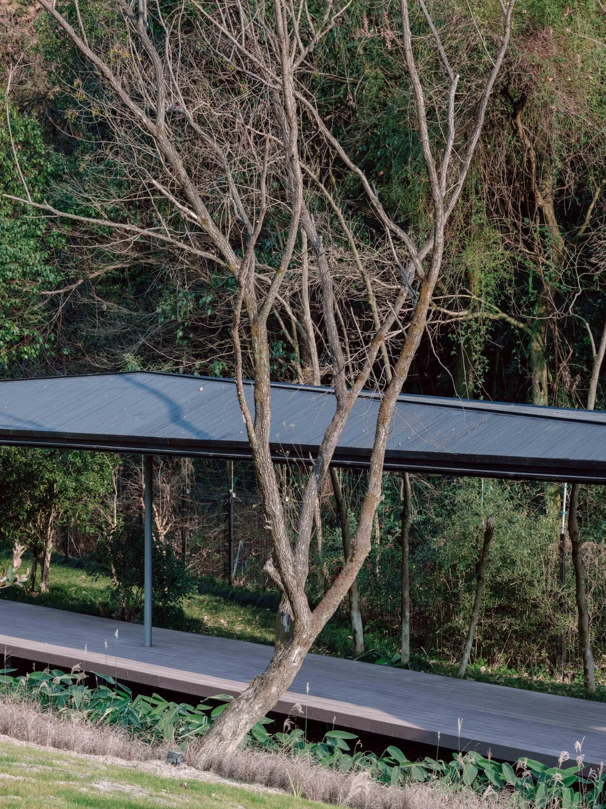 BIM architecture | River eaves: Zhejiang Conservatory of Music campus micro update/Zhu Peidong line+architectural firm gad