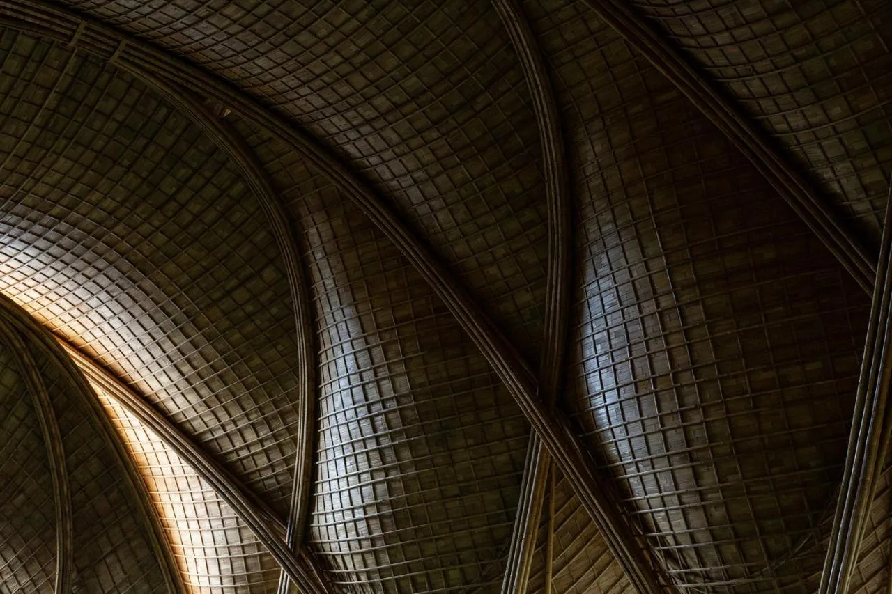 BIM Architecture | Minimum Structure Maximum Space, Bamboo Installation "Arc"/IBUKU