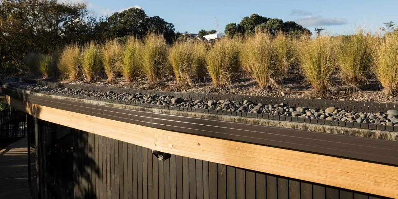 BIM Architecture | Kakapo Creek Preschool Learning Center/Collinridge And Smith Architects (CASA)