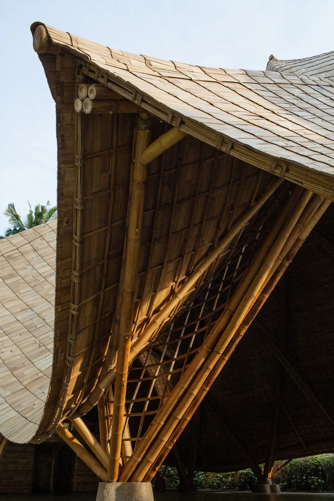 BIM Architecture | Minimum Structure Maximum Space, Bamboo Installation "Arc"/IBUKU