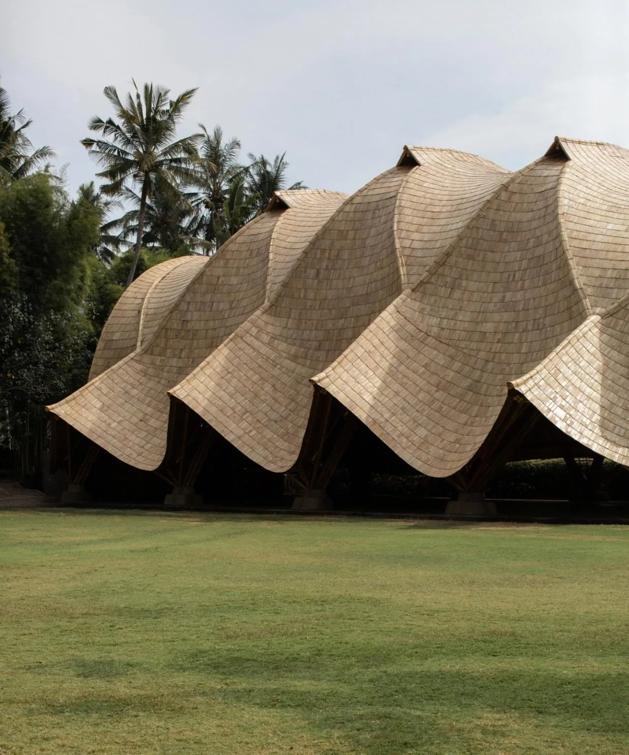 BIM Architecture | Minimum Structure Maximum Space, Bamboo Installation "Arc"/IBUKU