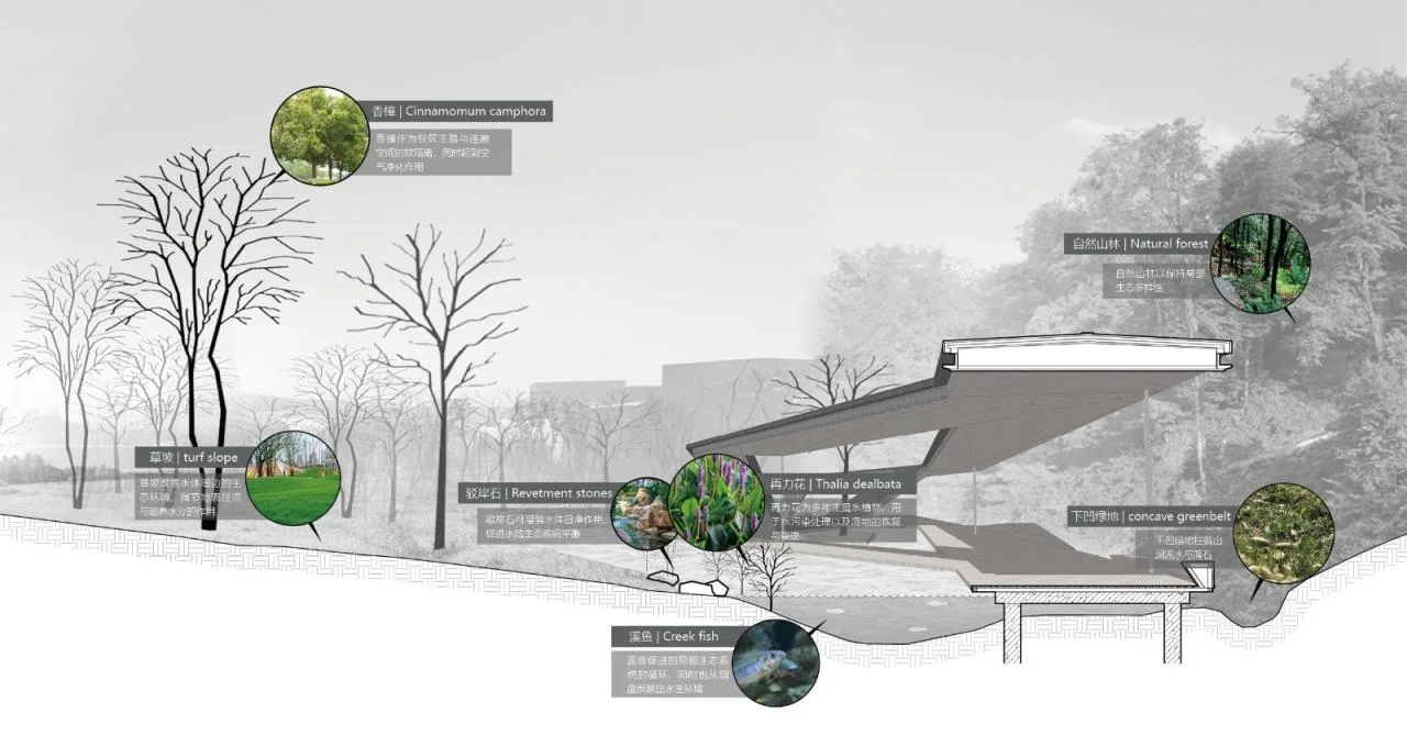 BIM architecture | River eaves: Zhejiang Conservatory of Music campus micro update/Zhu Peidong line+architectural firm gad