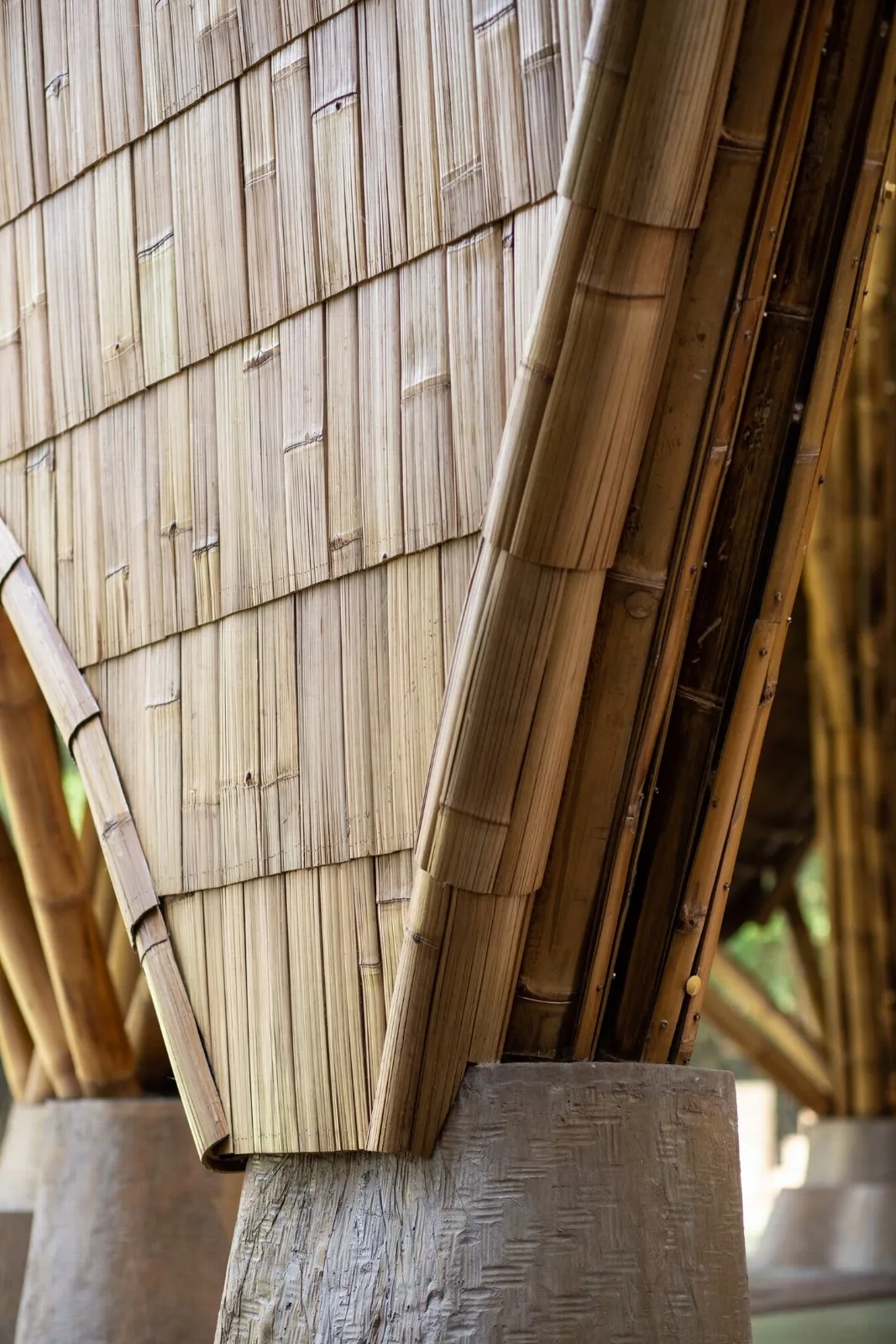 BIM Architecture | Minimum Structure Maximum Space, Bamboo Installation "Arc"/IBUKU