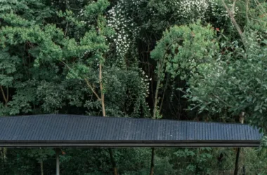 BIM Architecture: River Eaves Micro-Update at Zhejiang Conservatory of Music Campus by Zhu Peidong Line + GAD Architects-BIM WORLD