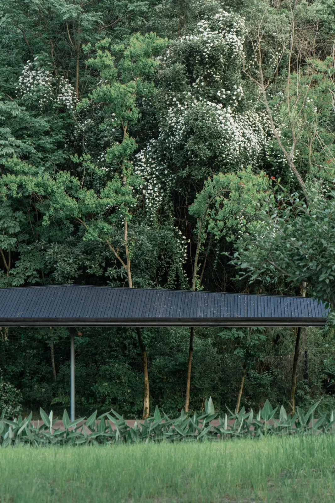 BIM architecture | River eaves: Zhejiang Conservatory of Music campus micro update/Zhu Peidong line+architectural firm gad