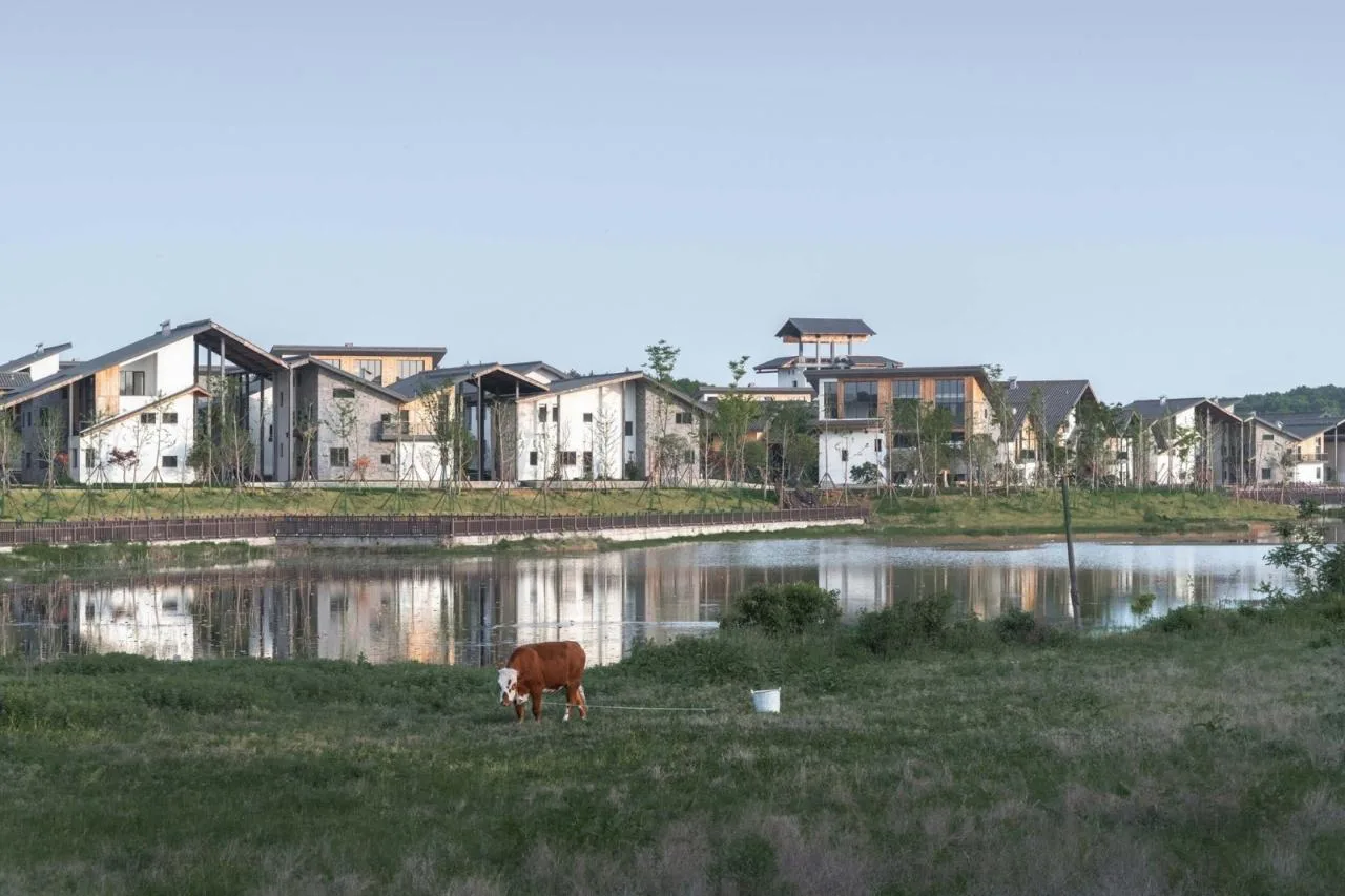BIM Architecture | Miluo "Dragon Boat Festival Family" Rural Settlement/Artificial Architecture Studio