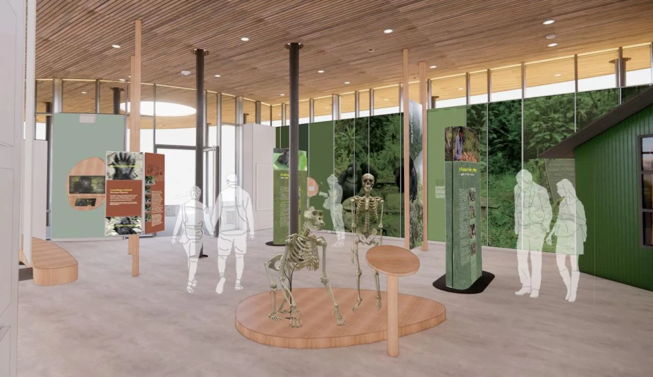 BIM Architecture | Fuxi Gorilla Fund Allen DeGeneres Campus/MASS Design Group