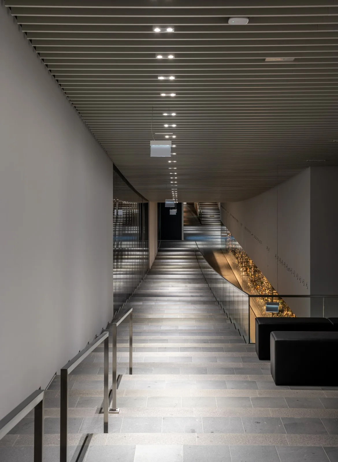 BIM Architecture | Budapest Museum of Ethnology/NAPUR Architect