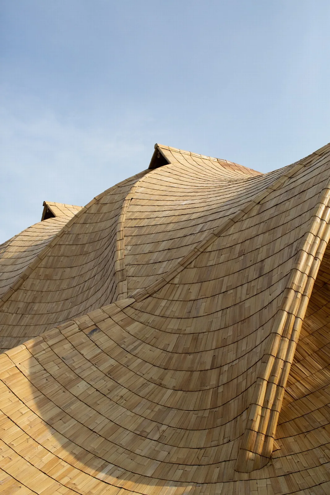 BIM Architecture | Minimum Structure Maximum Space, Bamboo Installation "Arc"/IBUKU