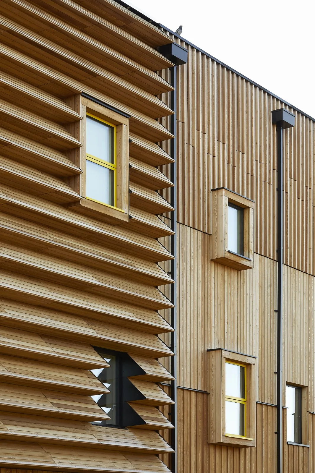 BIM Architecture | York St. John's University Creative Center/Tate+Co
