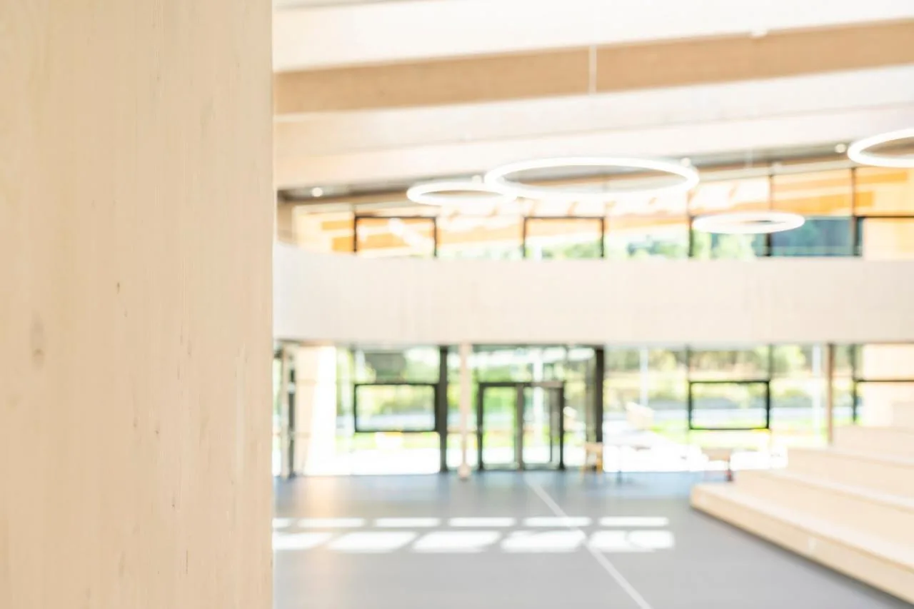 BIM Architecture | Borgafjellet Elementary School/LINK arkitektur