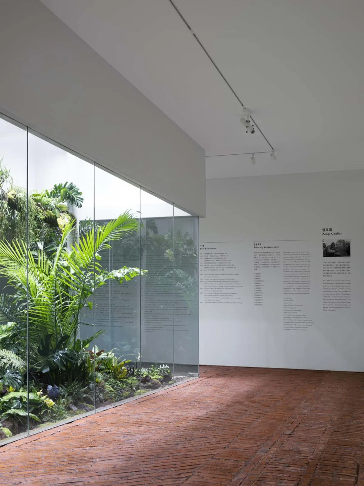 BIM Architecture | Zeng Xiaolian Art Museum/Zhuxiang Architectural Design Studio