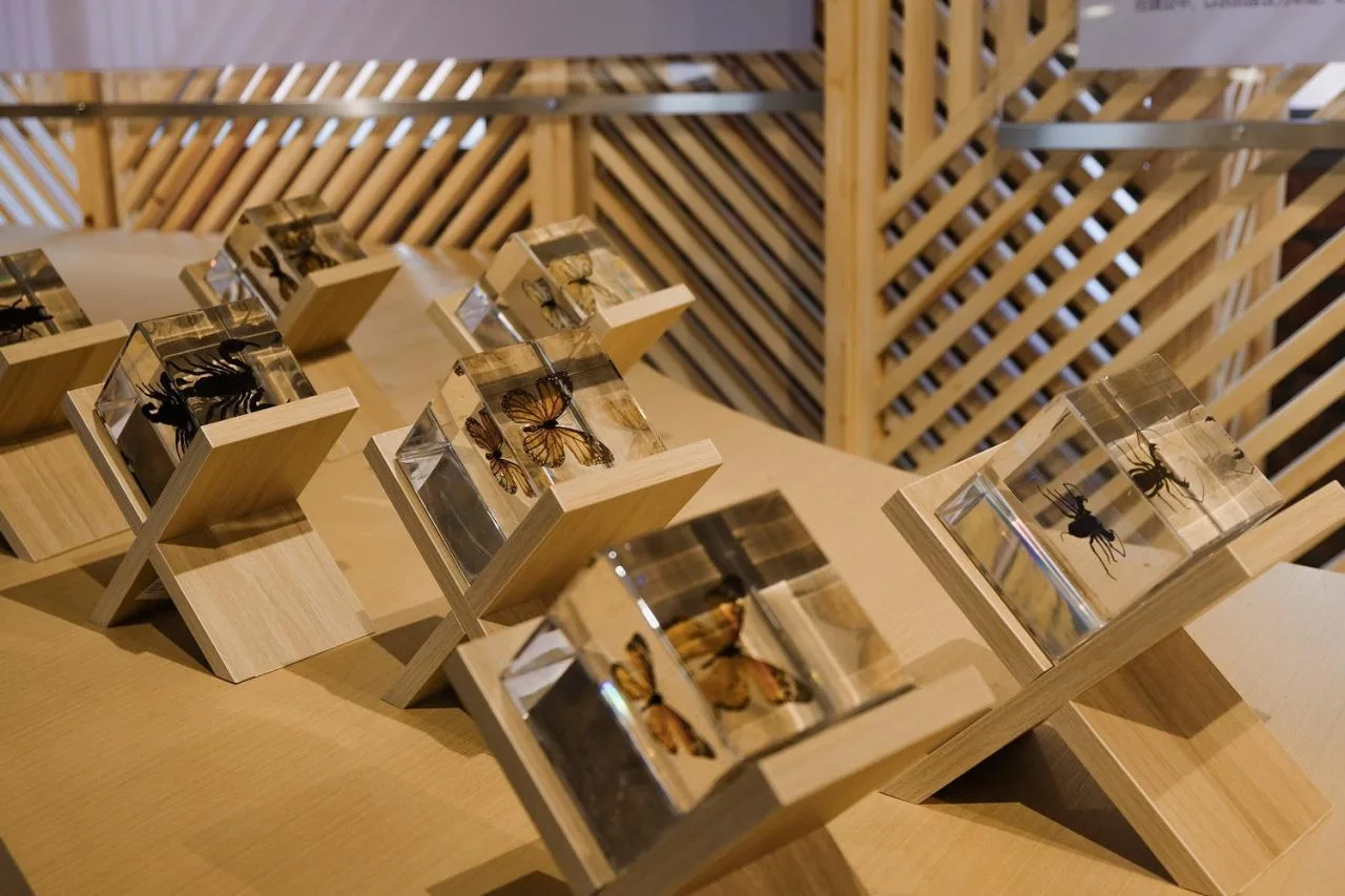 BIM Architecture | Qinglong Lake · Floating Seed: Self Renewal/Xiaoyin Architecture Firm