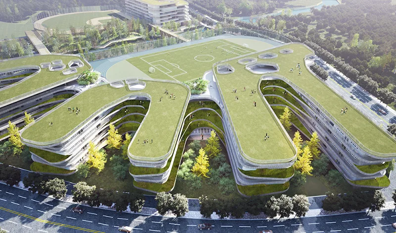 Primary and Secondary School Campus Planning - Shenzhen