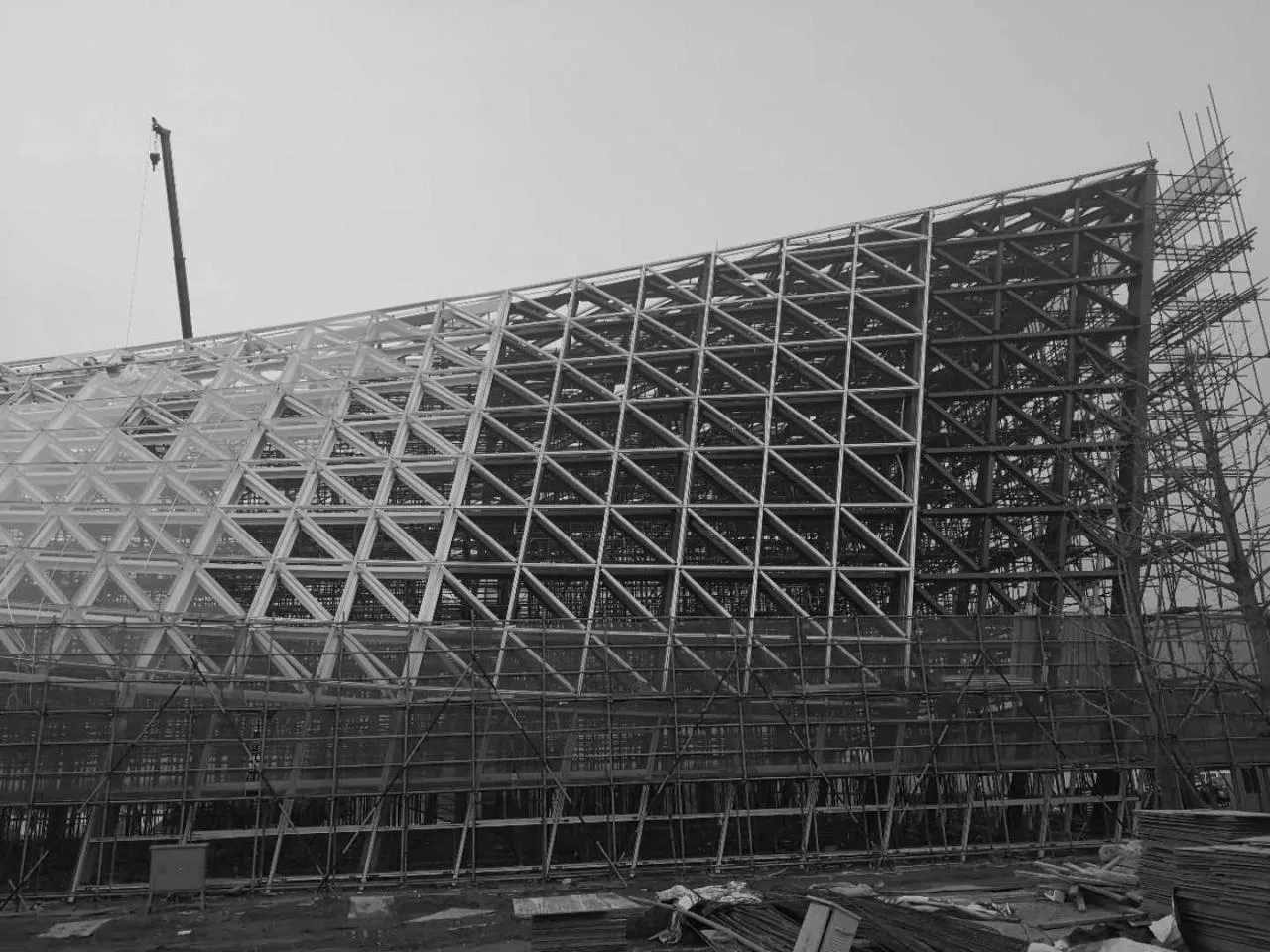 BIM Architecture | Elegant Variations · Nantong Botanical Garden Greenhouse/Jianhe Studio