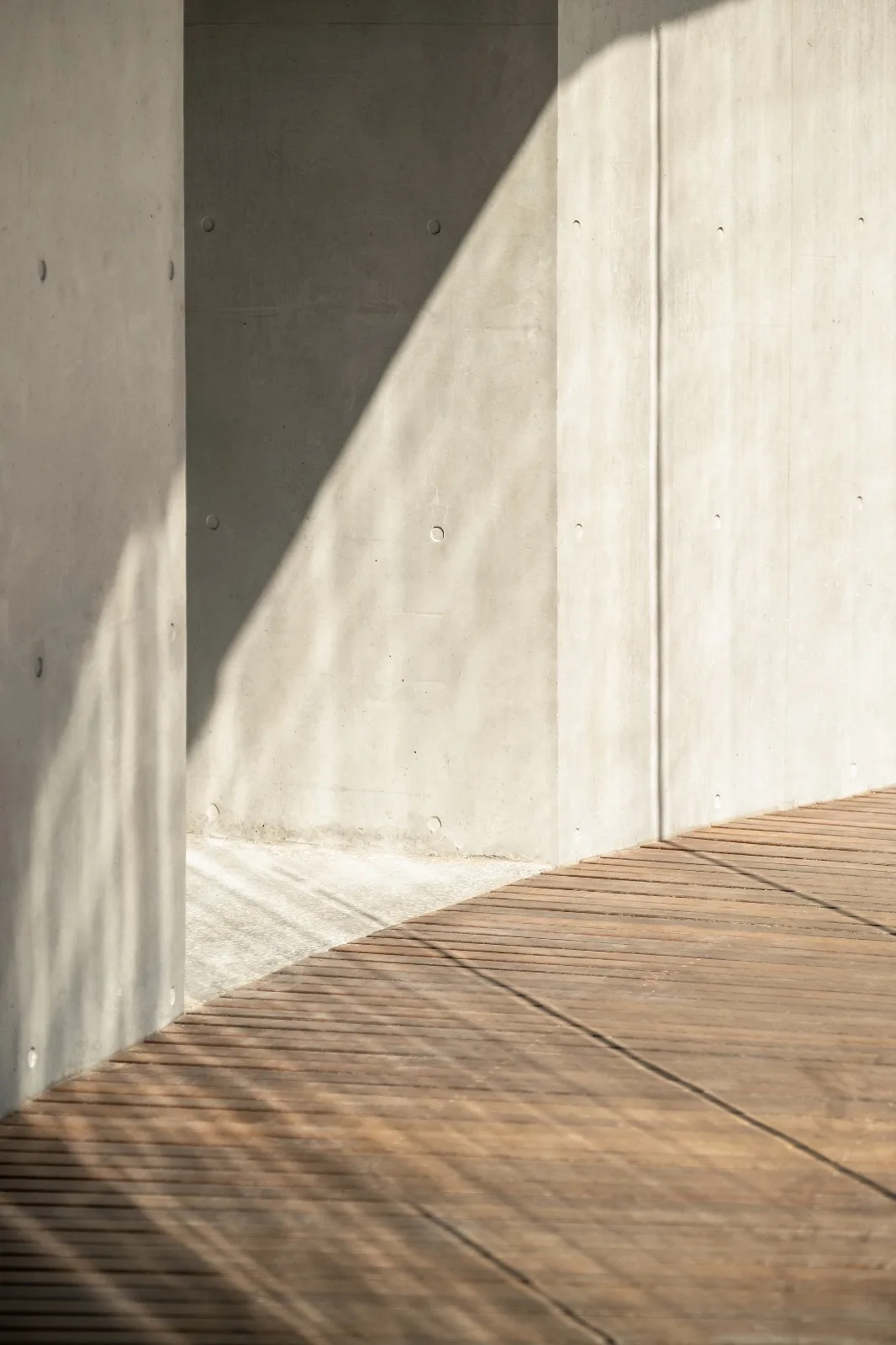 BIM Architecture | Seaside Cafe: Echoes of the Sea/Same Architectural Design Firm