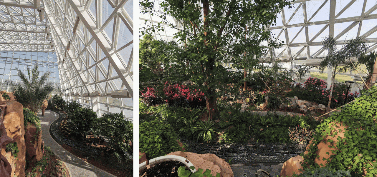 BIM Architecture | Elegant Variations · Nantong Botanical Garden Greenhouse/Jianhe Studio