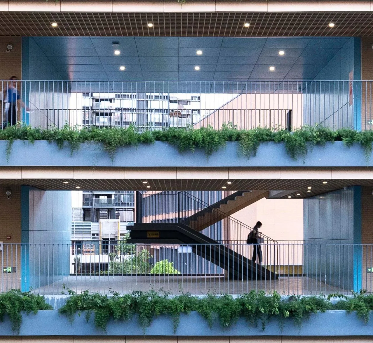BIM Architecture | Shenzhen Foreign Language School Bao'an School/Huayang International Design Group
