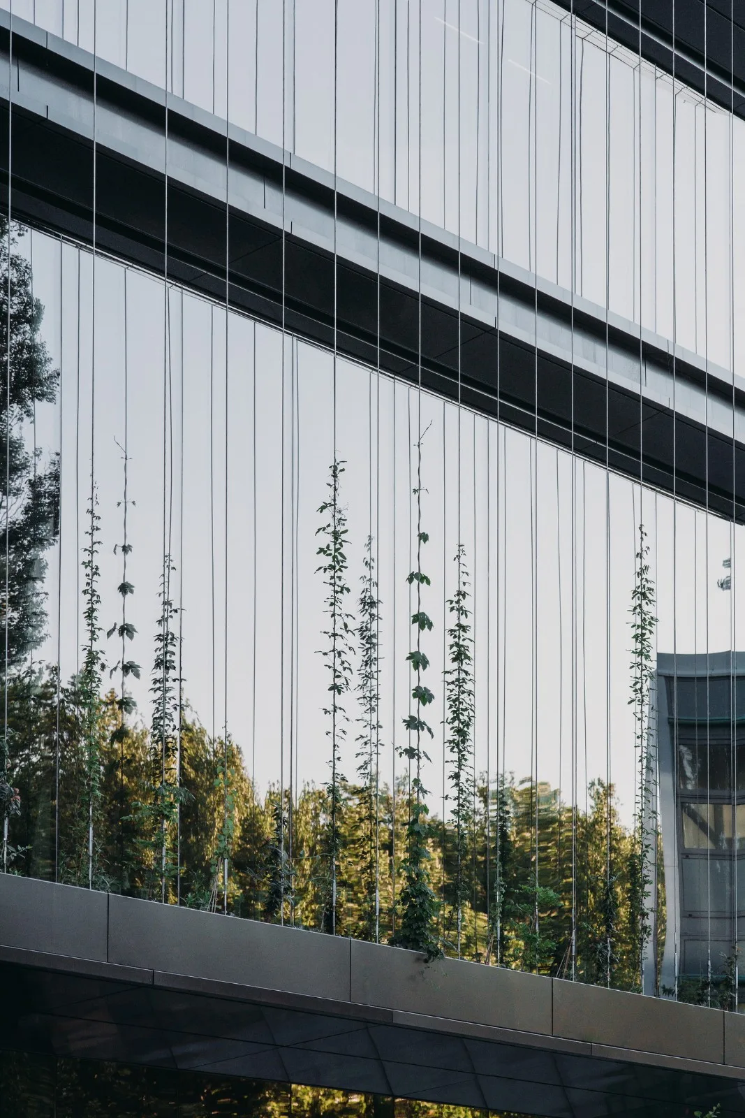 BIM Architecture | New Energy Renewable Interdisciplinary Teaching Building at Delft University of Technology in the Netherlands/UNStudio
