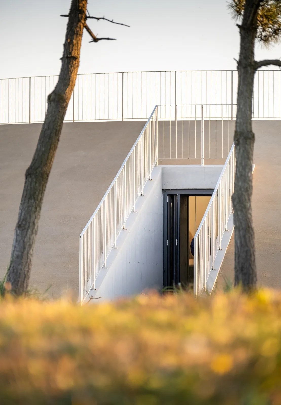 BIM Architecture | Seaside Cafe: Echoes of the Sea/Same Architectural Design Firm