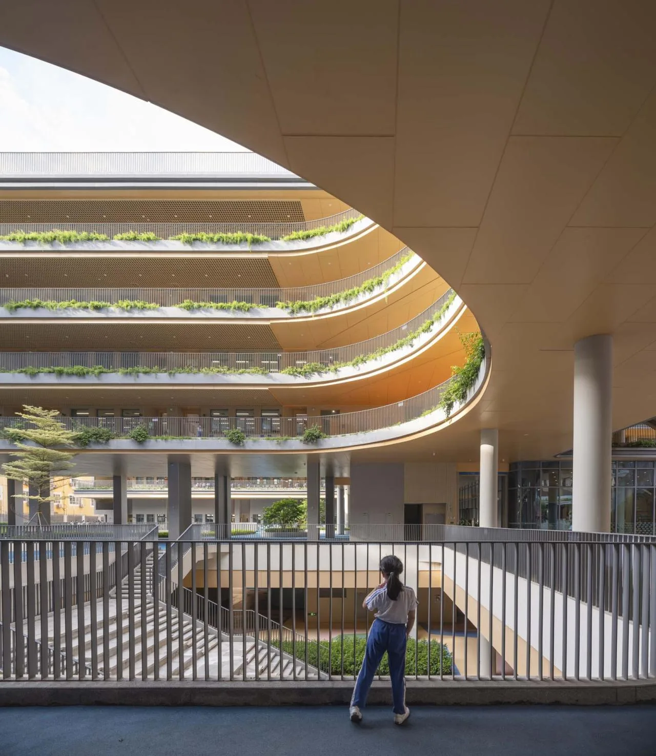 BIM Architecture | Shenzhen Foreign Language School Bao'an School/Huayang International Design Group