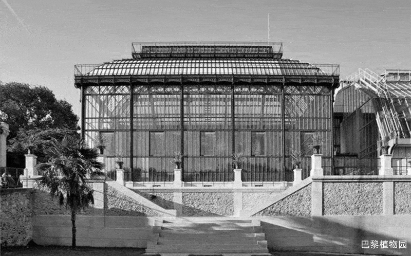 BIM Architecture | Elegant Variations · Nantong Botanical Garden Greenhouse/Jianhe Studio