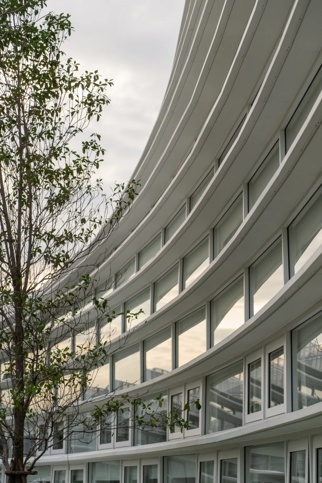 BIM Architecture | Fan shaped Unfolding, SISB/Plan Architect for Thonburi Campus in Thailand