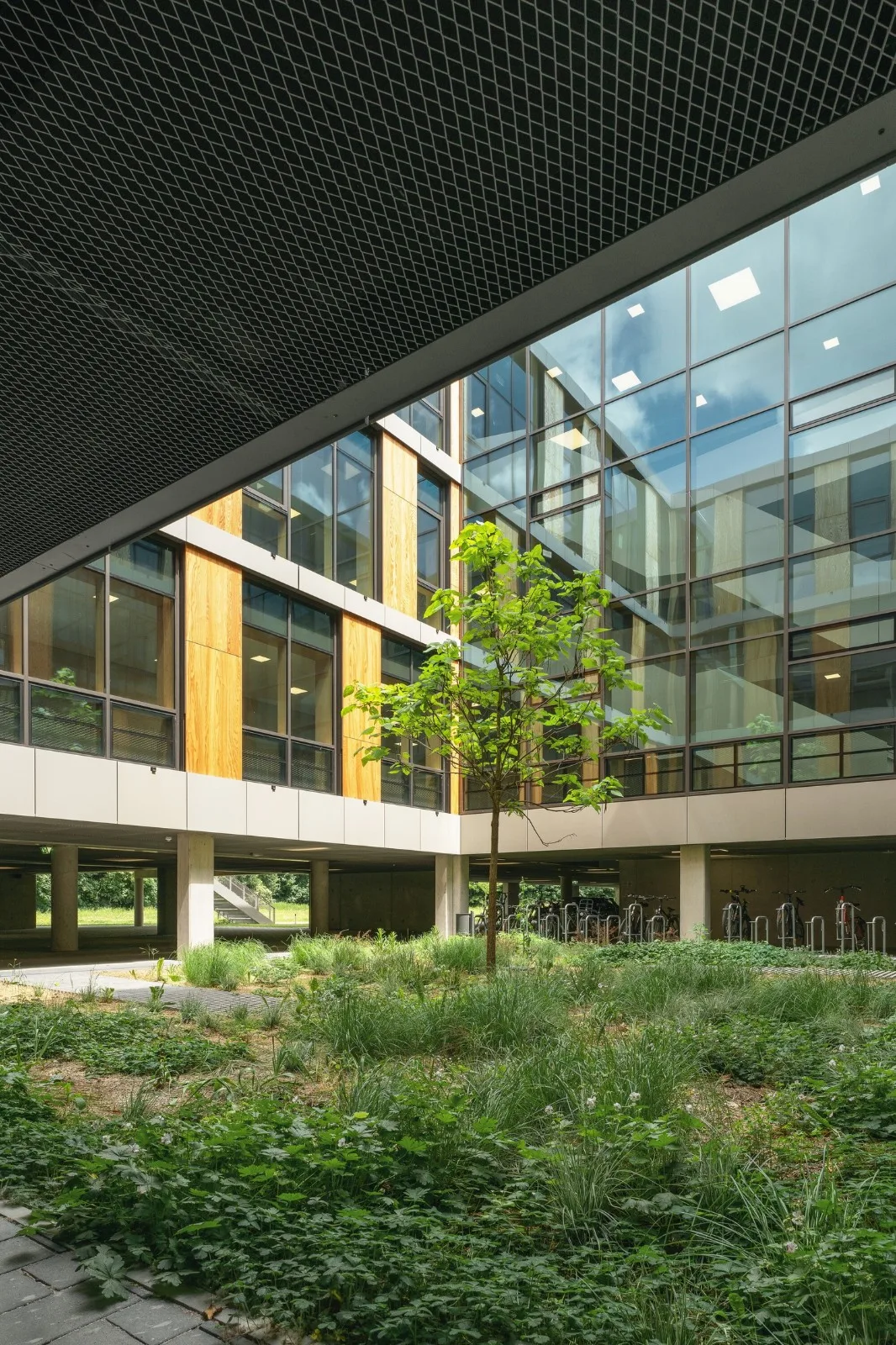BIM Architecture | Sustainable Chemistry Building at Technical University of Munich/Schuster Pechteld Schmidt Architekten