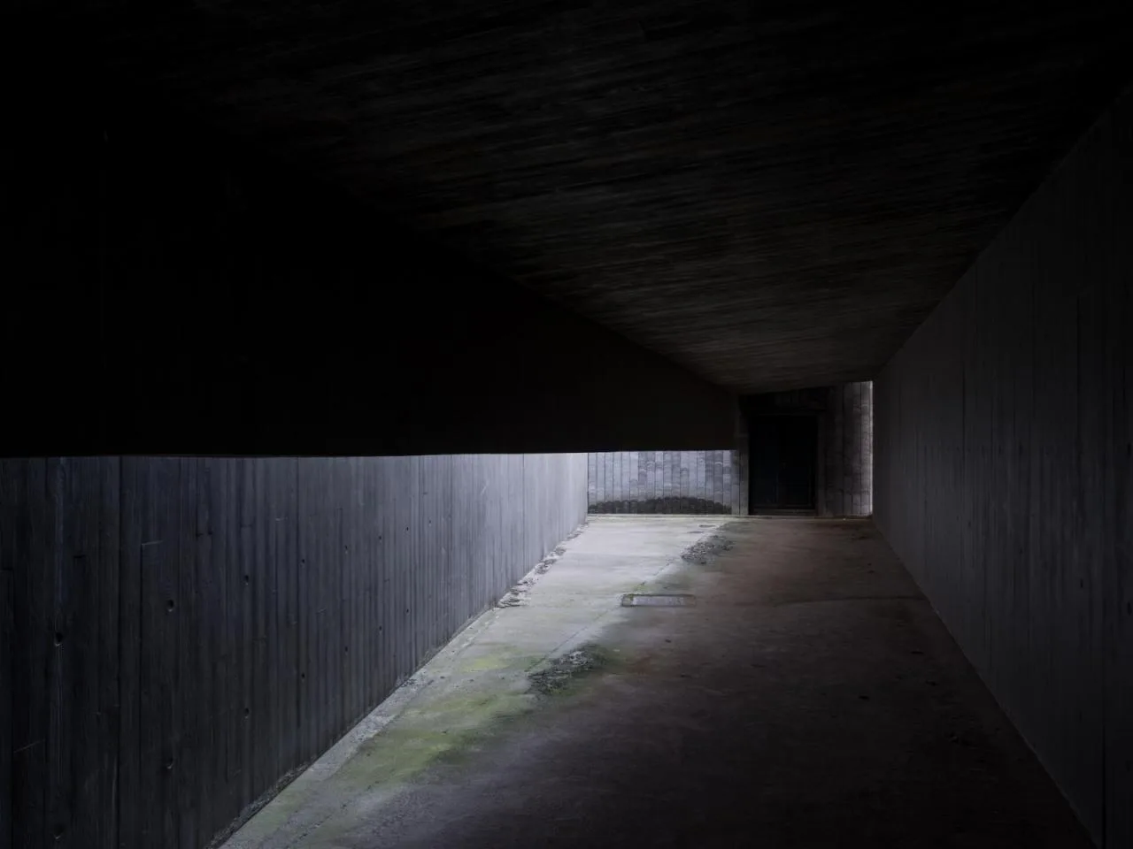 BIM Architecture | Unnamed Art Museum/Extraordinary Architecture