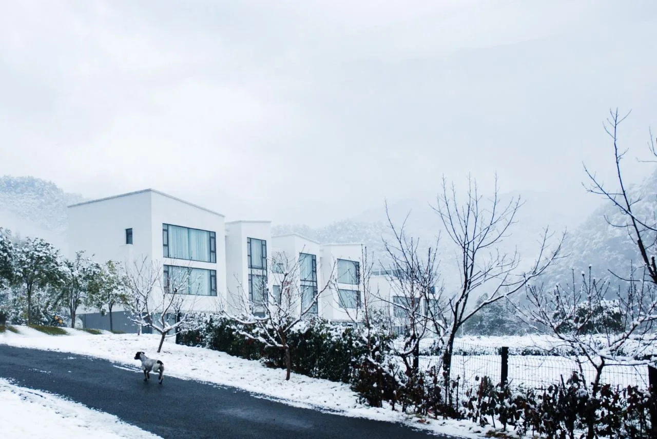 BIM Architecture | Qiyuan: Shanchuan · Suwu · Window, Qiandao Lake/Pingjie Design