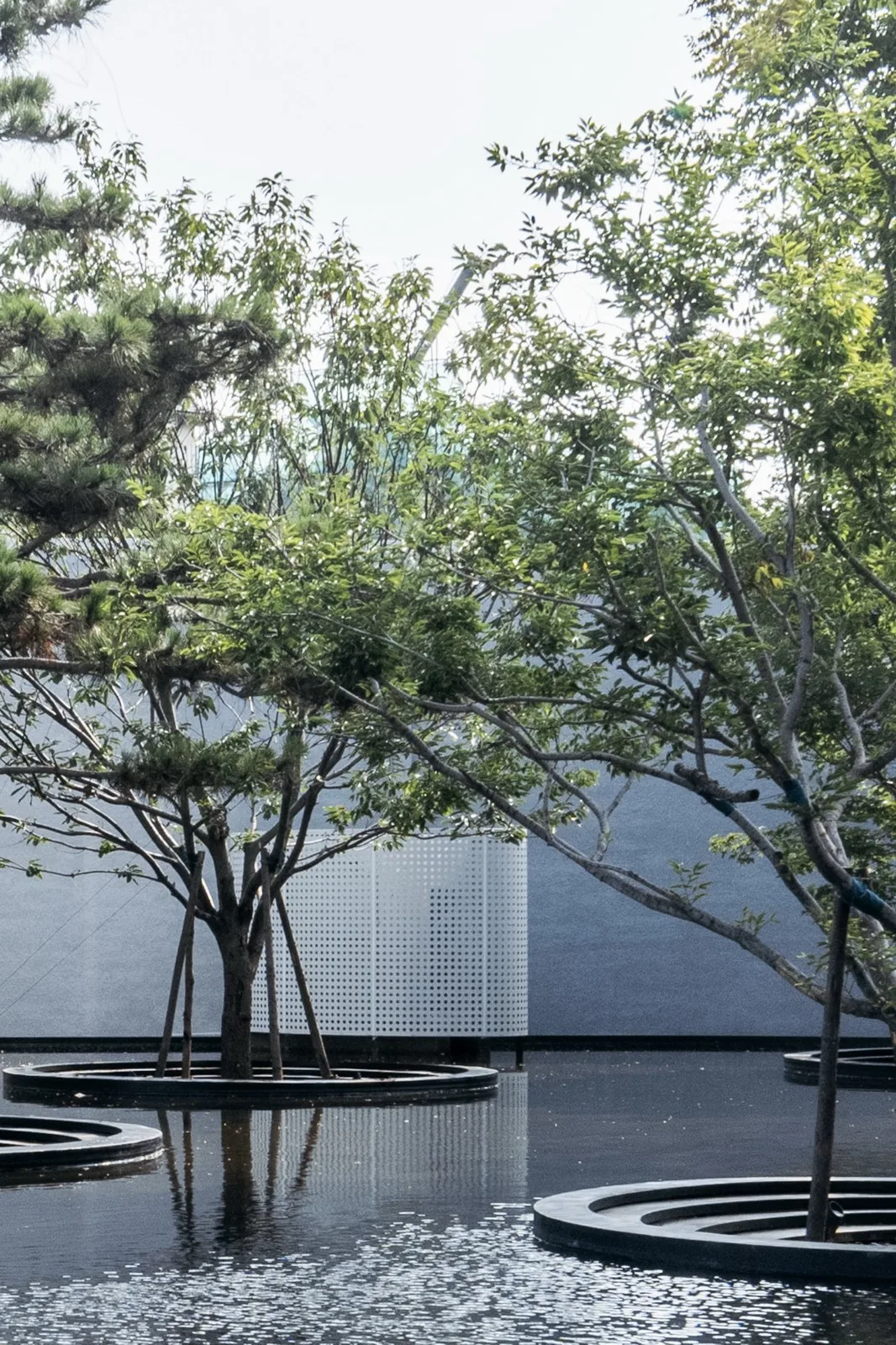 BIM Architecture | Monologues Art Museum/Wutopia Lab