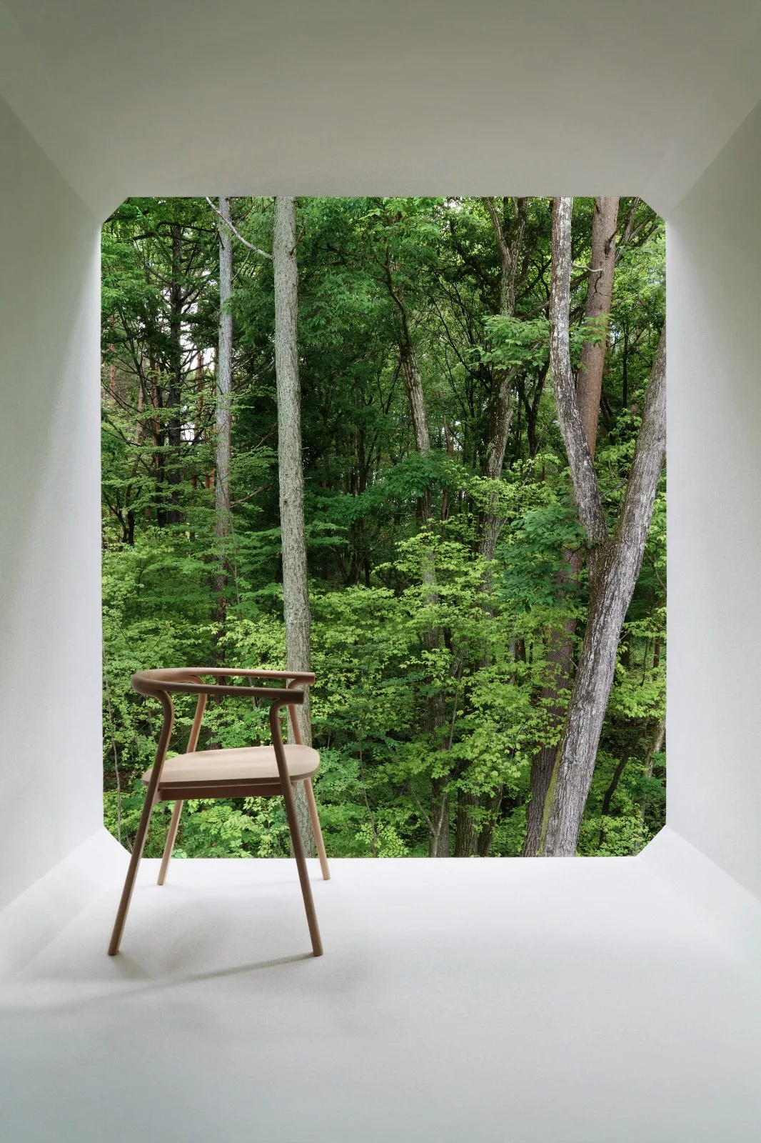 BIM Architecture | Japan Nagano Minimalist Hotel Culvert, Prefabricated Concrete Tunnel/Nendo