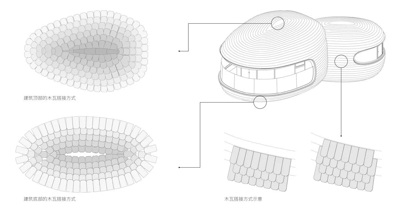 BIM Architecture | Jungle Tree House: Dreaming of Palm Leaves by the Caribbean Sea/Starry Architecture Studio