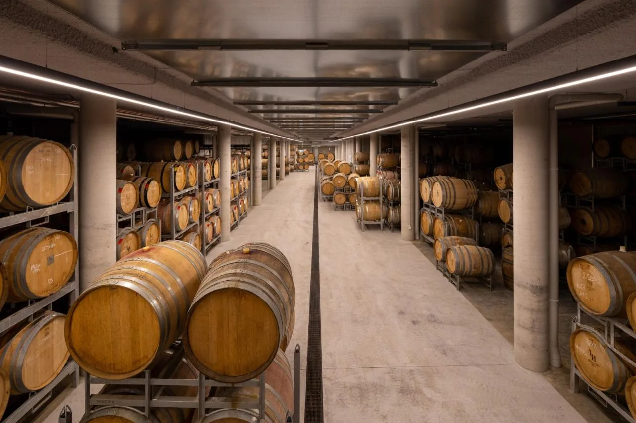 BIM Architecture | Levantine Hill Estate Winery/Fender Katsalidis Architects