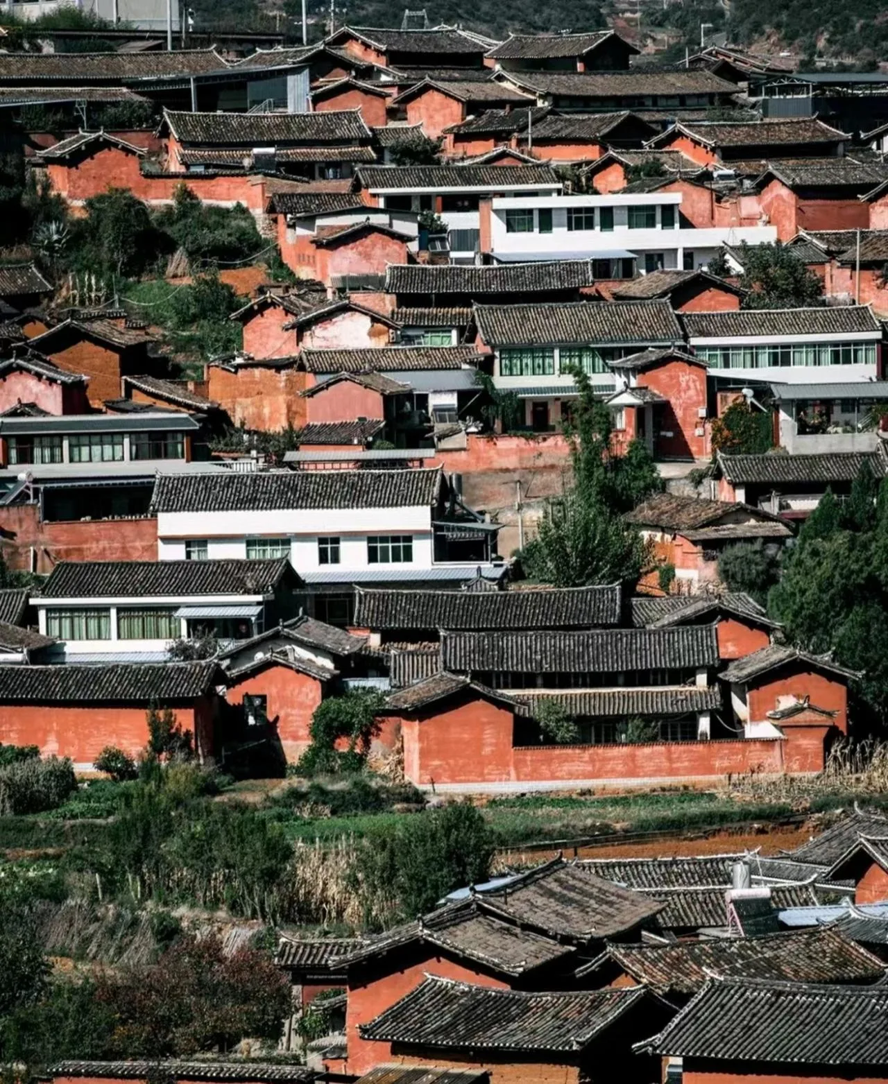 BIM Architecture | Construction: Based on Reality - Hidden Mountain in the Village/Collaborative Construction Society