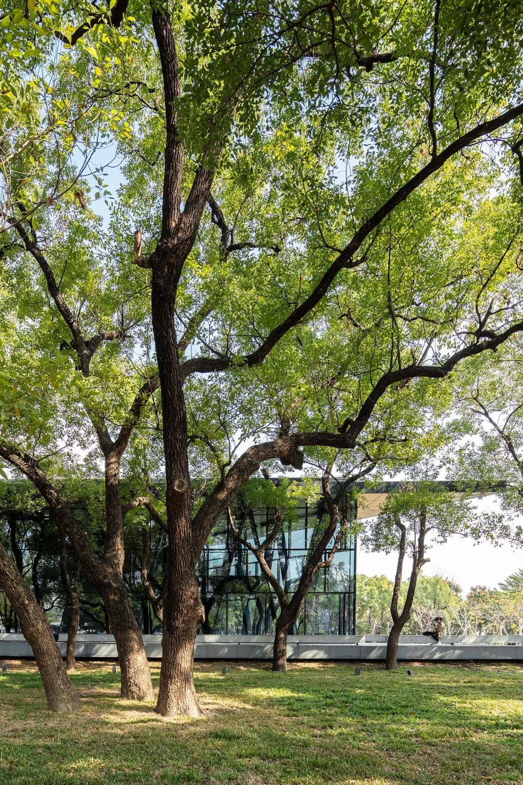 BIM Architecture | Pingtung Public Library/MAYU Architects