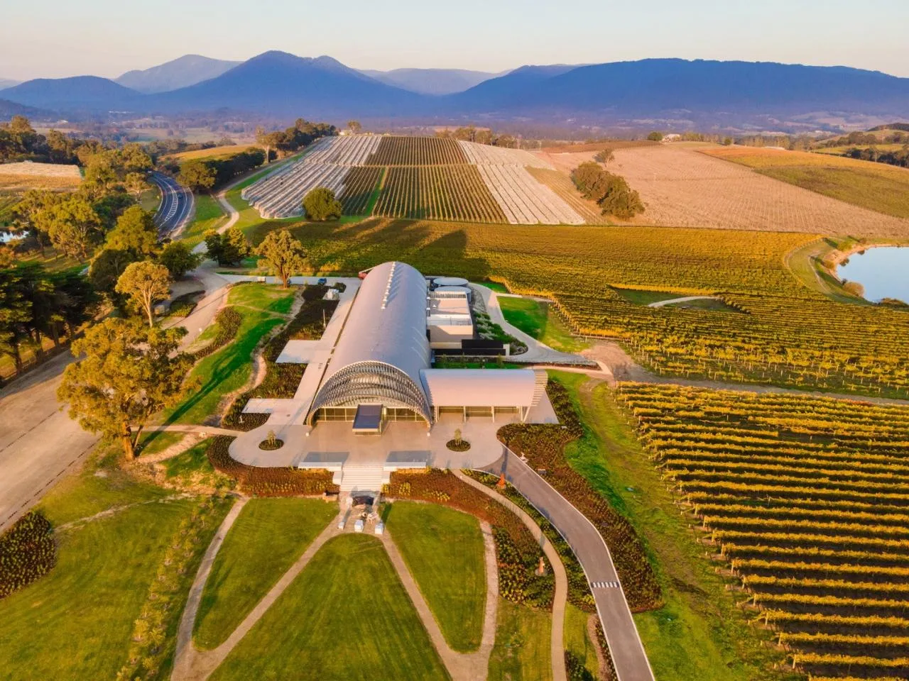 BIM Architecture | Levantine Hill Estate Winery/Fender Katsalidis Architects
