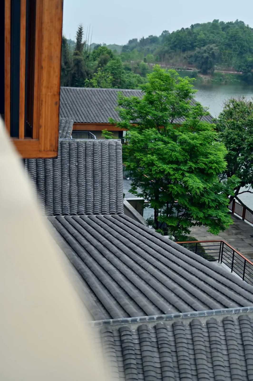 BIM Architecture | Mingyue Lake Shajin Primary School Renovation/Chongqing Yueji Architectural Design Firm