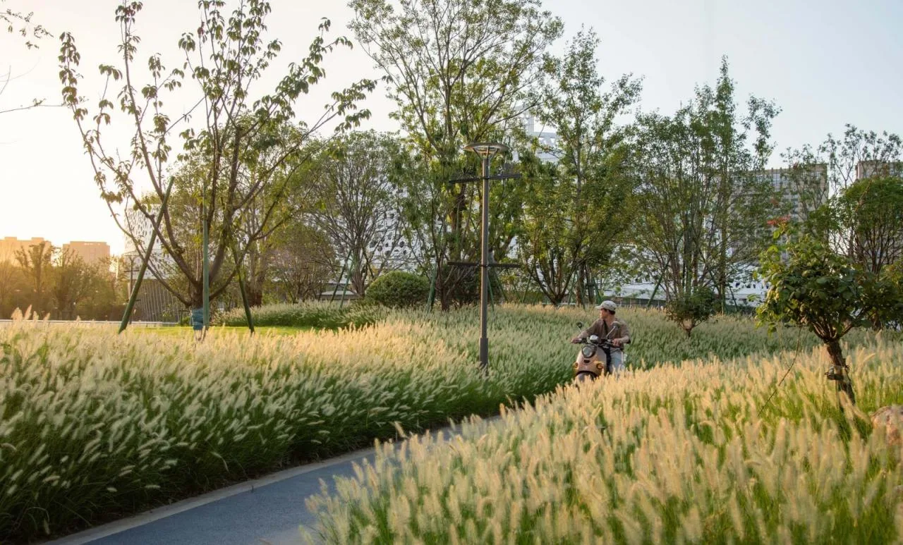 BIM Architecture | Hangzhou Canal Central Park (Phase II)/Zhejiang Provincial Institute of Architectural Design and Research