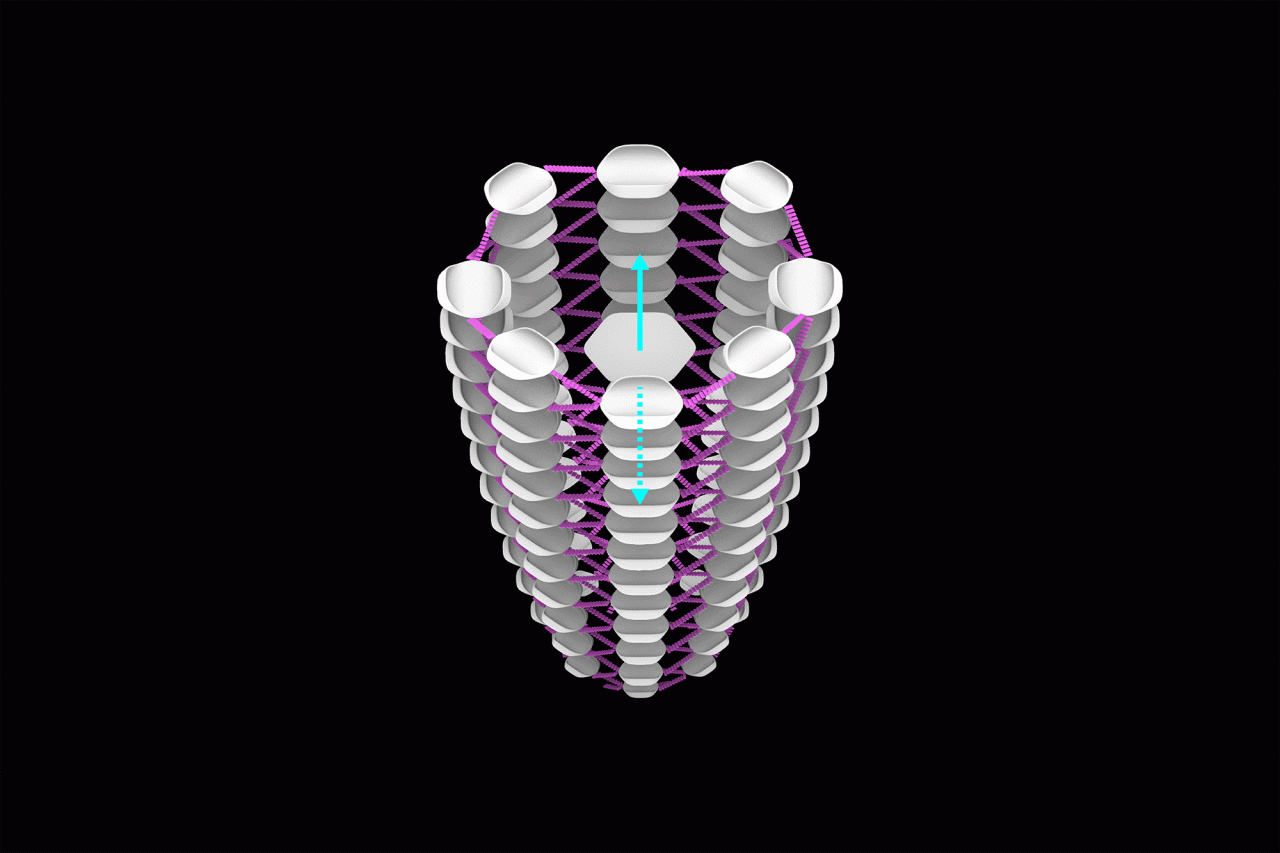 BIM Architecture | 5 award-winning works, Decentraland Architecture Competition/CAA LAB, the world's largest metaverse platform