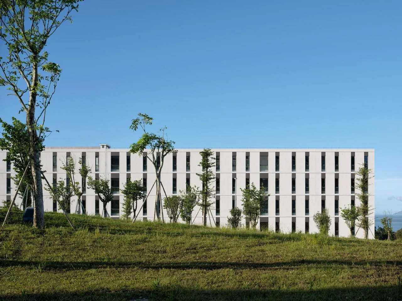 BIM Architecture | Shantou Preschool Vocational Education School/Timber Design