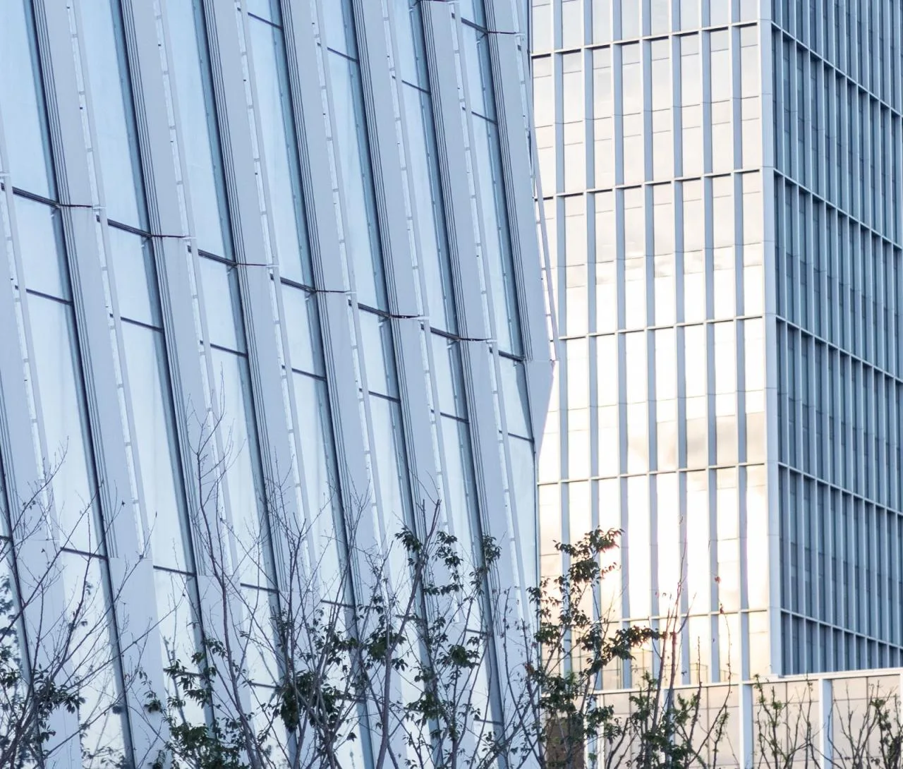 BIM Architecture | Giant Stone Technology Building/Qicheng Design